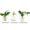 Clear glass hydroponic hanging vase set including round, heart, and star shapes for home decor - Set A (Round Disc + Heart + Plum) / 3 Pieces/Pack