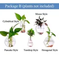 Set of 5 clear glass hanging vases in diverse shapes for wall-mounted hydroponics - Set B (Cup + Mouse + Disc + Drop + Hexagon) / 5 Pieces/Pack