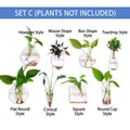 8-piece set of hanging glass vases in various shapes for hydroponic plants - Set C (8 Pieces Collection) / 8 Pieces/Pack