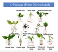 Set D containing 12 unique shapes of clear glass wall hanging hydroponic plant vases - Set D (Complete Collection 12 Pieces) / 12 Pieces/Pack