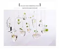 Juego de diez jarrones de vidrio colgantes para decoración de plantas hidropónicas - Paquete Ahorro 3 (10 Piezas)