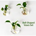 Set of three wall-mounted clear glass round vases with green plants on a white wall - Steamed Bun Shape Combo (S+M+L) / 3 Pieces/Pack