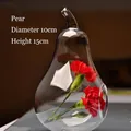 Creative pear-shaped clear glass vase for micro landscape plants and home decor - 10cm x 15cm / Pear Shape (hp43)