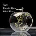 Creative apple shaped transparent glass vase terrarium for desk home decor 10cm - 10cm x 10cm / Apple Shape (hp43)