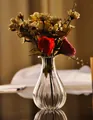 Elegant transparent striped glass vase for home decor and hydroponic flower arrangements - Pear Striped Style (hp56) / 15.5x6cm