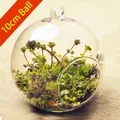 10cm diameter hanging clear glass globe terrarium vase for micro landscape plants - 100mm Ball Vase Only (Without Plants)