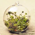 A 12cm spherical hanging glass terrarium vase perfect for succulent plants and decor - 120mm Ball Vase Only (Without Plants)