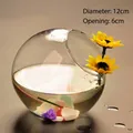 Kreative Glasvase mit schräger Öffnung für Pflanzen oder Fische, 12cm Durchmesser - 12cm