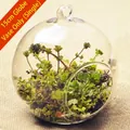 Spherical 15cm hanging glass globe terrarium vase for succulent micro landscape plants - 150mm Ball Vase Only (Without Plants)
