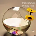 Vase créatif en verre transparent à ouverture oblique pour fleurs hydroponiques - 20cm