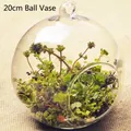 Hanging 20cm spherical glass terrarium vase for succulent micro landscape plants - 200mm Ball Vase Only (Without Plants)