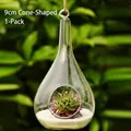 Hanging 9cm cone-shaped glass terrarium vase for succulent micro landscape decor - 90mm Cone Vase Only (Without Plants)