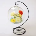 Modern hanging clear glass terrarium globe with black metal stand for home decor - 12cm Ball Vase and Large Stand Set