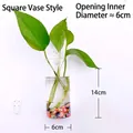 Clear glass wall-mounted cylindrical vase for hydroponic plants and greenery, 14cm height - Round Cup Style / Cup Shape (With Nails + Mud)