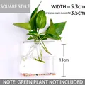 Minimalist square transparent glass wall-mounted vase for hydroponic plants and greenery - Square Style / Square (With Nails + Mud)