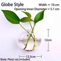 Minimalist clear wall-hanging round glass vase for hydroponics with dimensions - Steamed Bun Shape / Mantou Shape (With Nails + Mud)