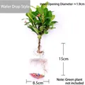 Teardrop shaped transparent glass wall-hanging vase for hydroponic plants, 15cm height - Waterdrop Style / Drop Shape (With Nails + Mud)