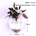 Wall-mounted teardrop shaped clear glass vase for hydroponic plants and minimalist decor - Mouse Shape Style / Mouse Shape (With Nails + Mud)
