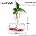 Heart-shaped transparent hanging glass vase for hydroponic plants and home wall decor - Heart Style / Heart Shape (With Nails + Mud)