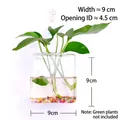 Creative square wall-hanging glass vase for hydroponic plants, 9x9cm clear decorative pot - Square Style / Square (With Nails + Mud)