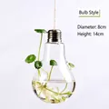 Jarrón colgante de vidrio transparente con forma de bombilla para plantas, 8x14cm - Estilo Bombilla (8x14)