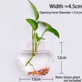 Hexagonal transparent glass wall-mounted vase for hydroponic plants and home decor - Hexagonal Style / Hexagon (With Nails + Mud)
