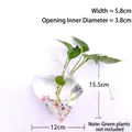 Diamond shaped glass hanging vase with dimensions and wall hook included - Geometric / Diamond (With Nails + Mud)