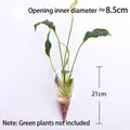 Conical clear glass wall hanging vase for hydroponic plants and greenery, 21cm height - Tapered Style / Cone (With Nails + Mud)