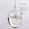 Jarrón colgante minimalista de cristal transparente en forma de huevo para plantas - Estilo Huevo (7x11)