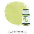 Premium shimmering light green fountain pen ink with gold powder in Capricorn theme bottle - Bamboo Green