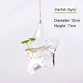 Jarrón de vidrio transparente colgante en forma de estrella para plantas hidropónicas - Estilo Estrella (10x11)