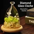 Creative glass cloche with diamond topper and wooden base for DIY decor - Diamond