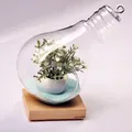 Detailed close-up of a bulb-shaped glass terrarium with flowers on a wooden base - Bulb Shape (With Wood Base) / HP184 (Height 260mm)