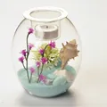 Elegant creative glass landscape candle holder with blue sand and sea shell home decor - L