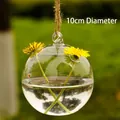 10cm diameter hanging glass ball terrarium for hydroponic plants - hp23 / 100mm