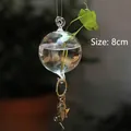 8cm clear hanging glass ball terrarium ornament for hydroponic plants and decor - hp28 / 120mm