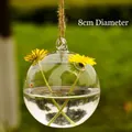 8cm diameter clear hanging glass globe terrarium vase for micro landscape and hydroponics - hp23 / 80mm
