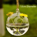 Hanging clear glass ball vase 12cm diameter for hydroponic plants and terrariums - hp23 / 120mm