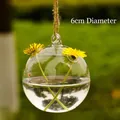 6cm clear hanging glass globe terrarium vase for hydroponic plants and micro landscape - hp23 / 60mm