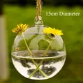 15cm diameter hanging glass ball terrarium and micro landscape vessel for hydroponic plants - hp23 / 150mm