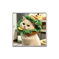 Broche de chat drôle avec un chat portant un chapeau hamburger et texte You sure - Chat Burger You Sure (ZP0572)
