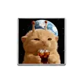 Broche chat orange carré avec antennes extraterrestres et décor de l'espace - Chat Extraterrestre Fond Espace (ZP0160)
