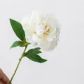 Finto Fiore di Peonia Bianca Artificiale Stelo Singolo Peonia in Seta per Casa - Bianco Crema