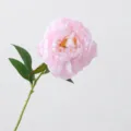 Fiore di peonia artificiale rosa seta finti fiori per decorazioni matrimonio e composizione floreale - Rosa chiaro