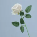 Fiore Artificiale Singolo Rosa di Velluto Finto Arredo Fotografia Puntello Elegante - Champagne