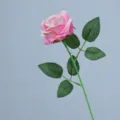 Fiore di rosa in flanella artificiale singolo rosa decorazione casa foto supporto 50cm - Rosa Multicolore