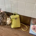 Minimalist yellow suede-like crossbody bucket phone bag with a cute plush dog charm - Green with Pendant