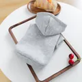 Grey pet hoodie detail shot, folded neatly on a wooden tray with cute props for pets. - Gray