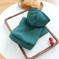 Close-up detail shot of a solid dark green small dog hooded sweatshirt neatly folded on a wooden tray. - XS / Dark Green