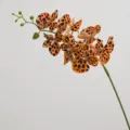 Ramo di orchidea Phalaenopsis artificiale 7 teste stampa leopardo decorazione per la casa - Stampa leopardata arancione a 7 teste